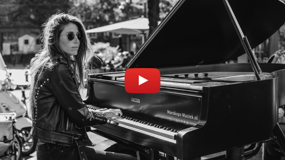 Iris Hond Youtube Beeld