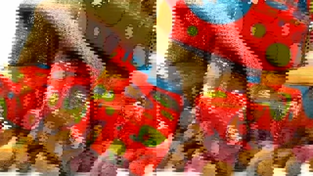 Sinterklaascadeaus Foto 1543332864