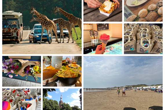 Collage Zomerprogramma