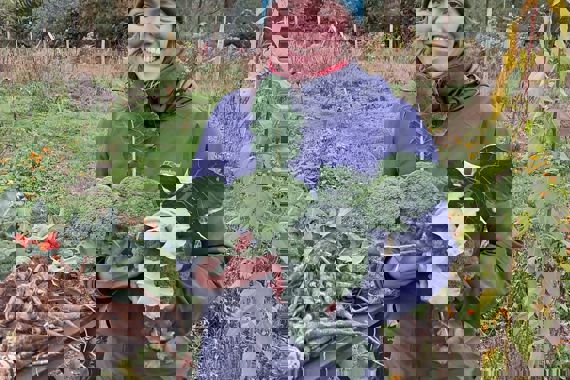 342A4a28 4396 4773 9830 9E0ab5e37d1a