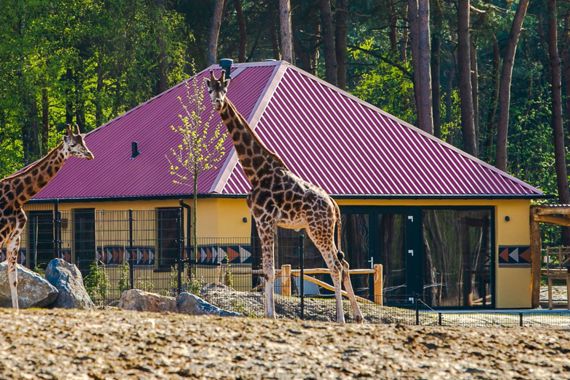 Safari Resort Beekse Bergen Savanne Lodge Vooraanzicht (1)