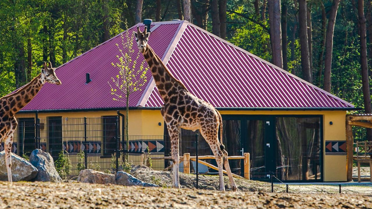 Safari Resort Beekse Bergen Savanne Lodge Vooraanzicht (1)
