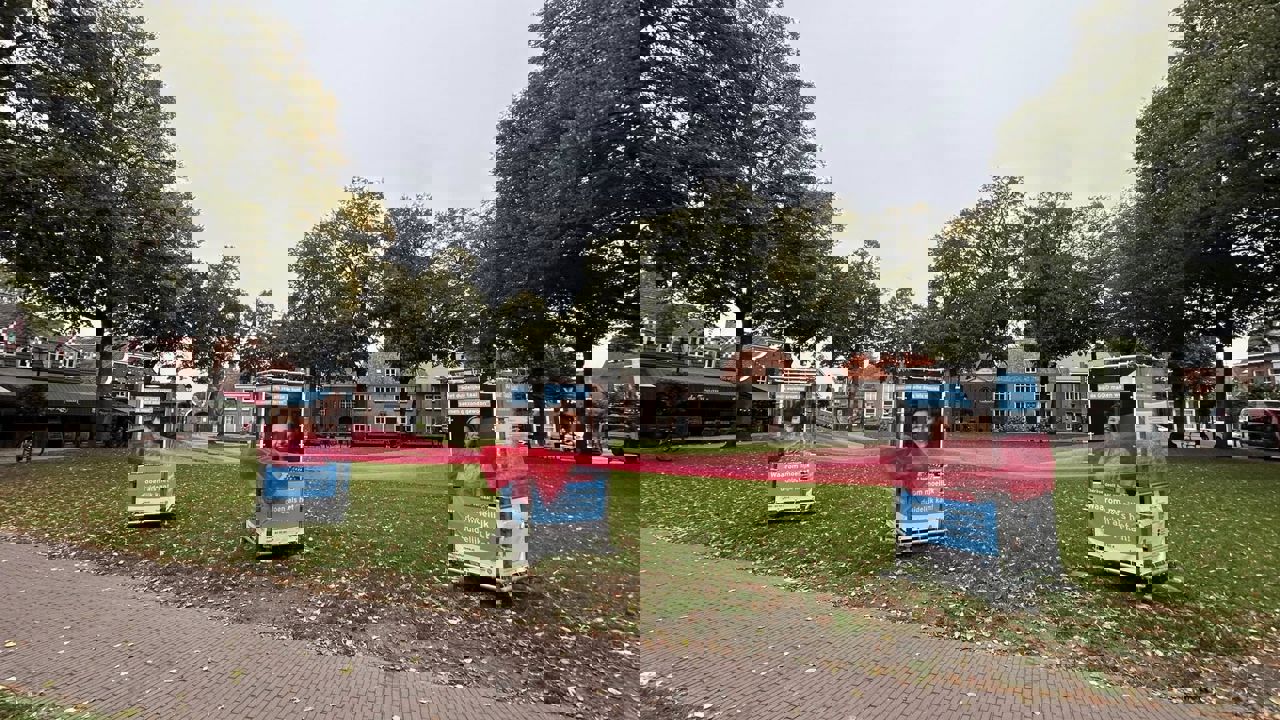 558989062 24706267615701271 2342470872980928484 N