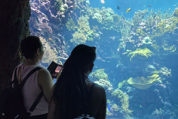 In de linkerhoek staan 2 vrouwen met de rug naar de camera. Ze kijken naar een aquarium met veel planten en vissen.