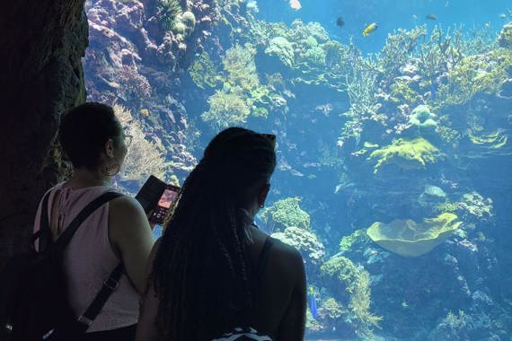 In de linkerhoek staan 2 vrouwen met de rug naar de camera. Ze kijken naar een aquarium met veel planten en vissen.