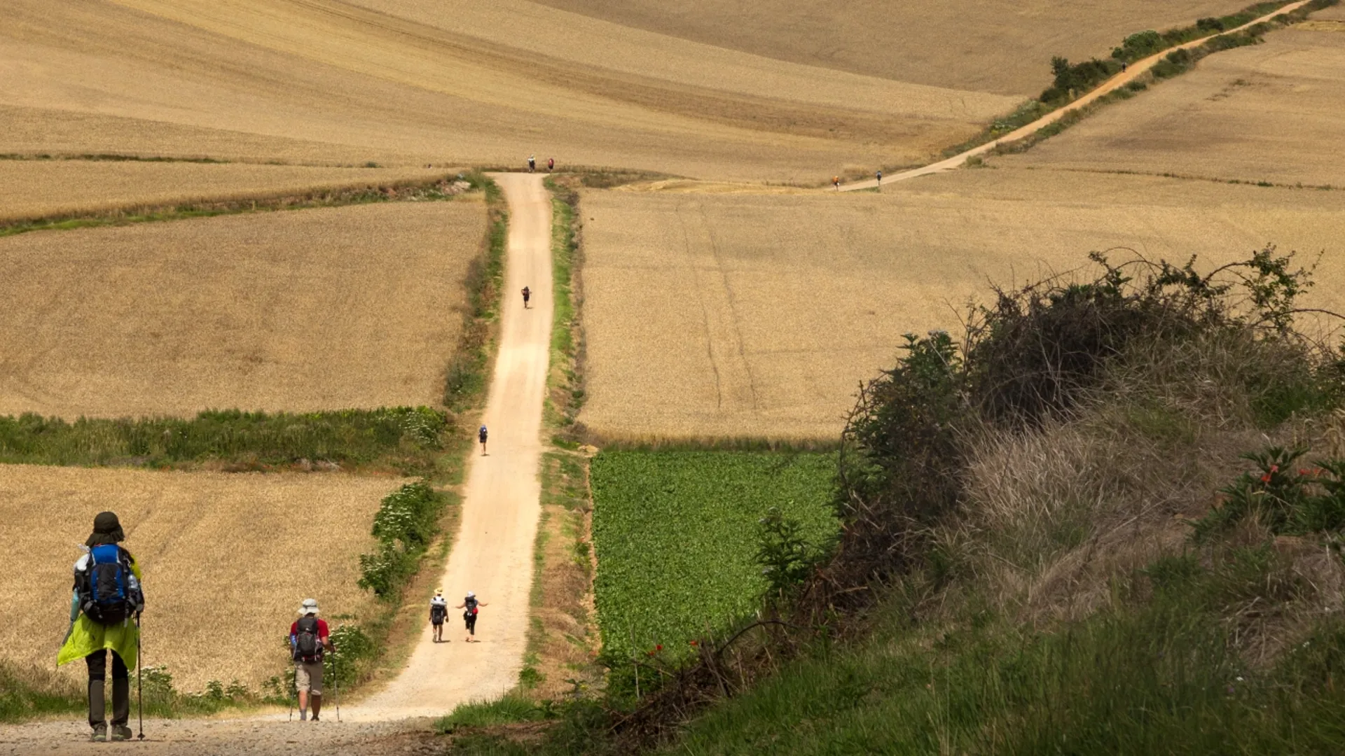 Camino Krona Foto Maarten Hoek