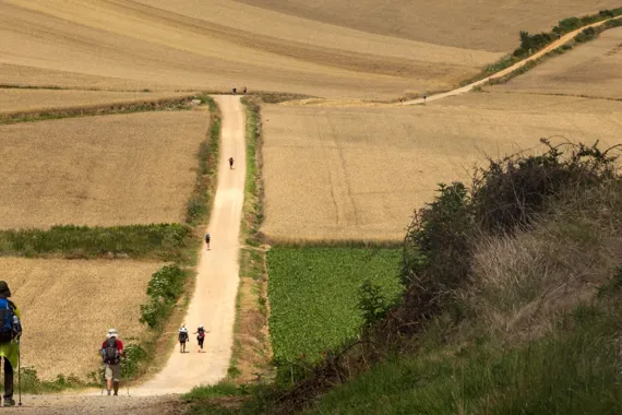 Camino Krona Foto Maarten Hoek