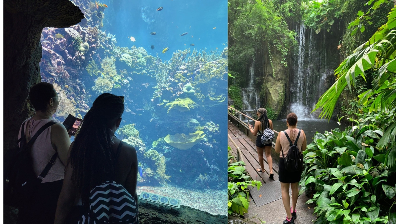 Er zijn twee foto's aan elkaar geplakt. Foto links: In de linkerhoek staan 2 vrouwen met de rug naar de camera. Ze kijken naar een aquarium met veel planten en vissen. Foto rechts: Twee vrouwen lopen over een brug langs een waterval. Er zijn overal tropische planten.